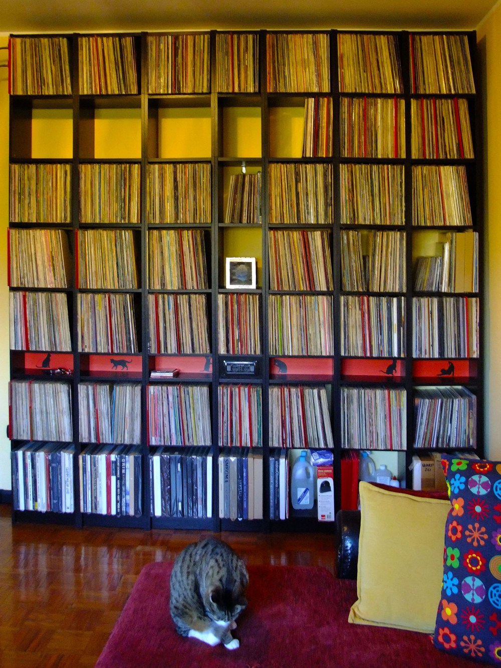 Andrea Marutti (2) - Cat.jpg