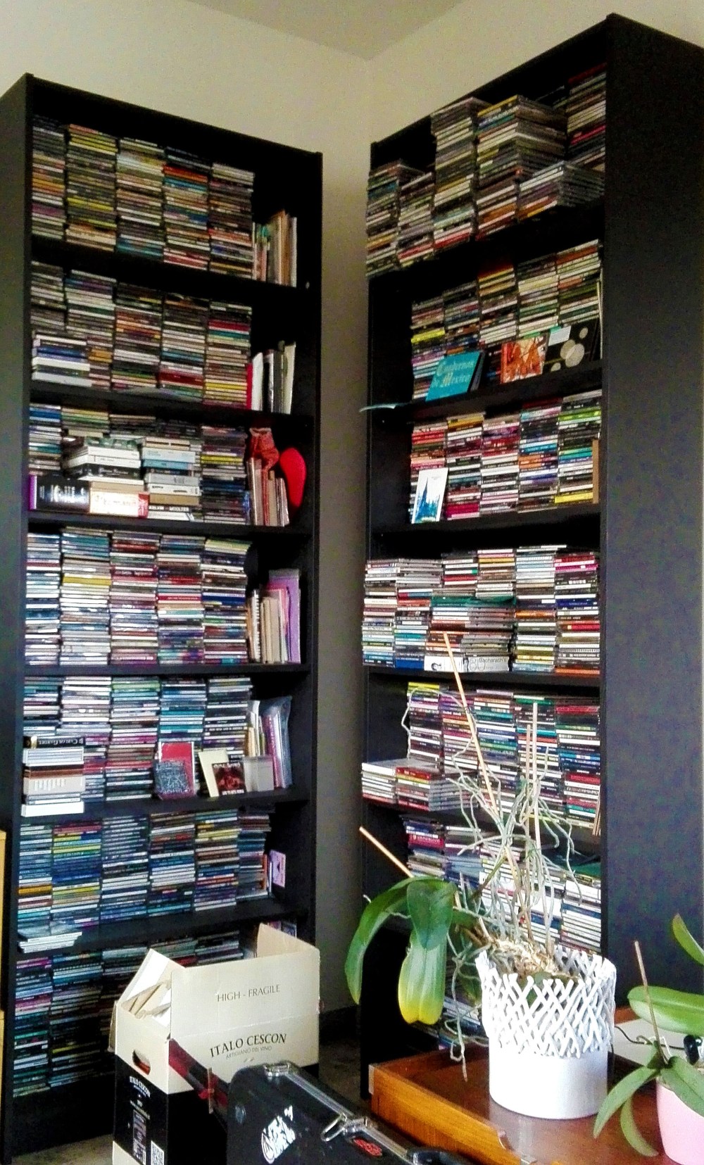 Bruno Dorella (3).jpg