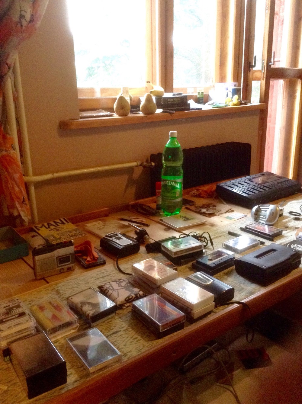 Rinus Van Alebeek (4).jpg