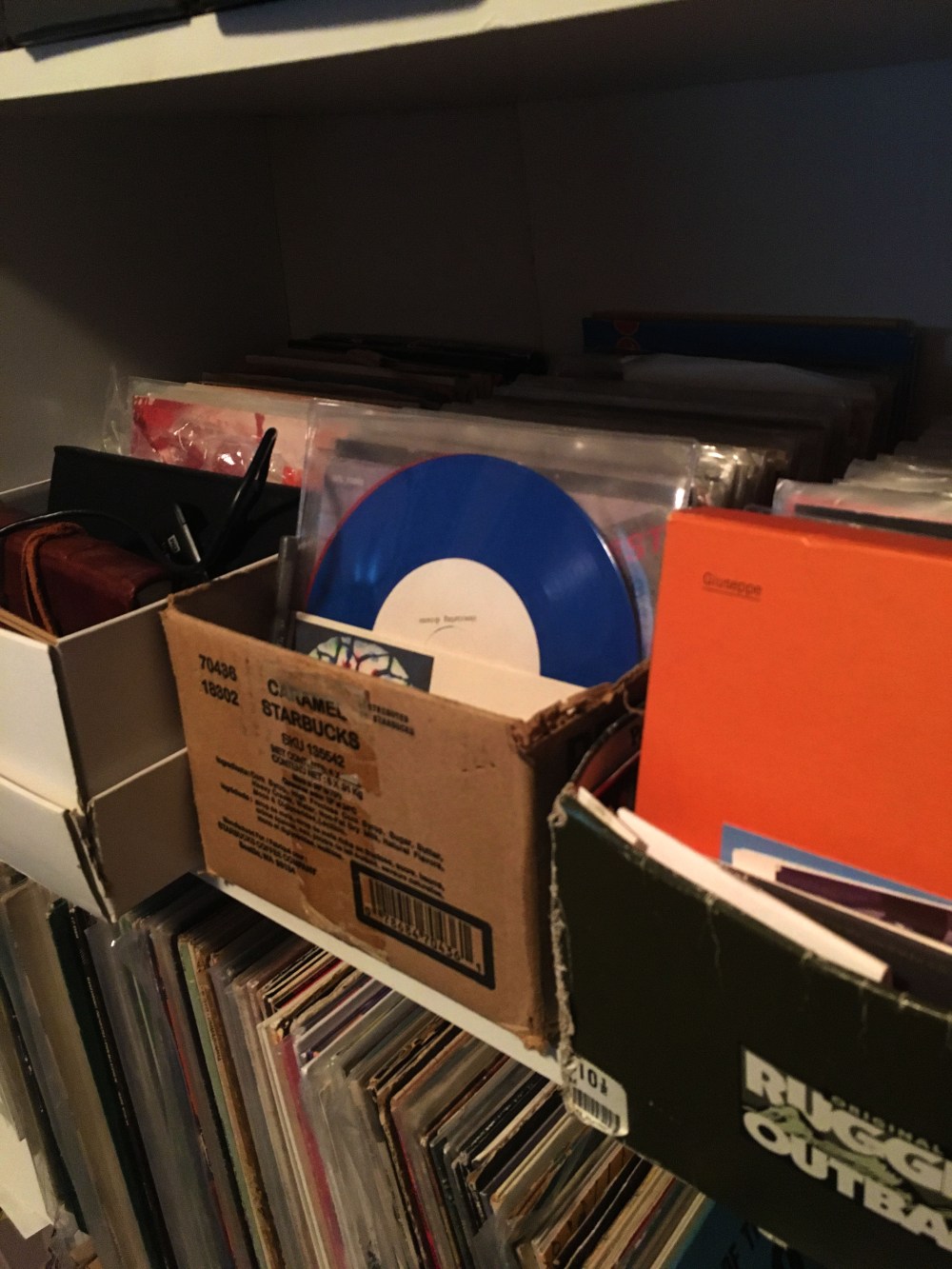 Joe Sannicadro (5).jpg