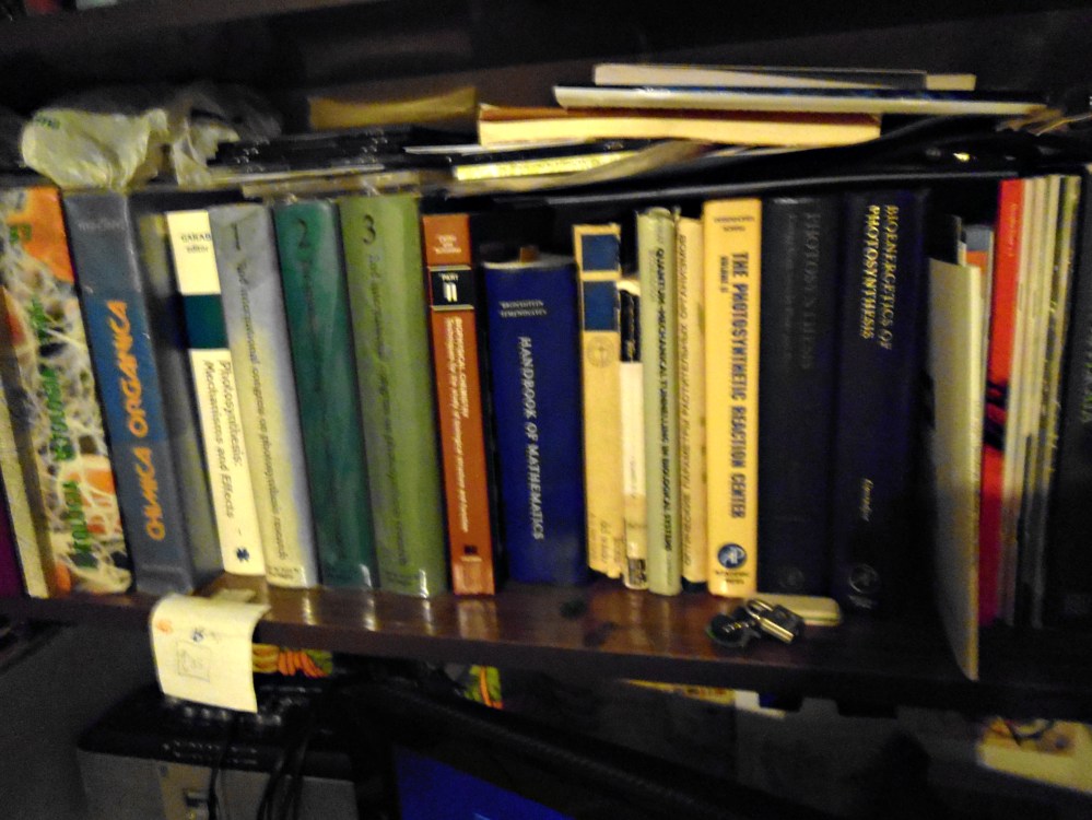 My Dear Killer (6).JPG