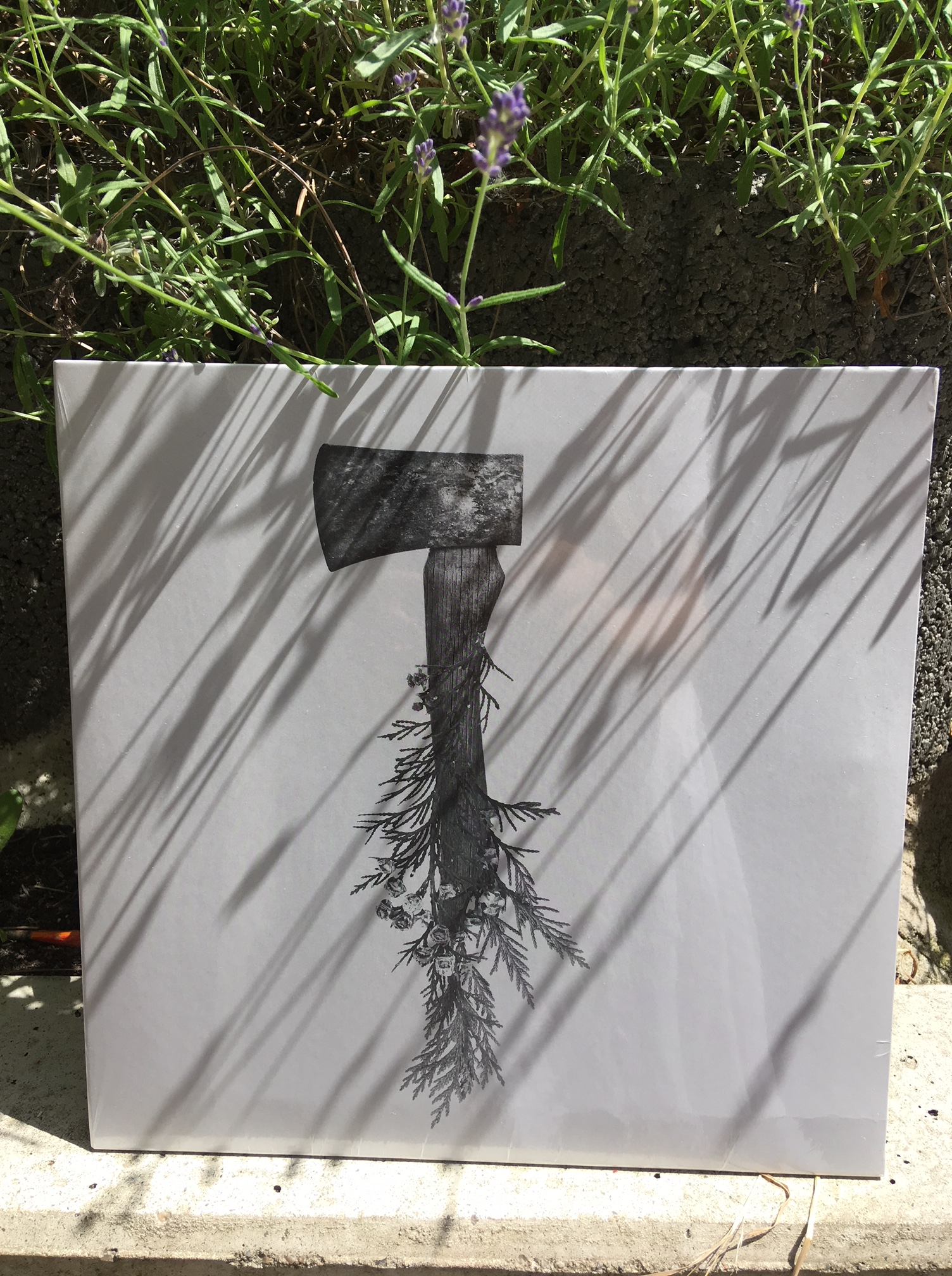 HackeDePicciotto (2).JPG