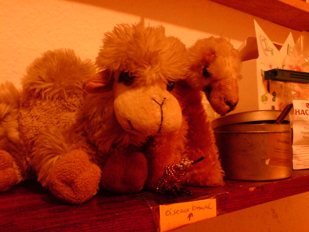 Stefan Knappe - Troum - Drone records (7).JPG